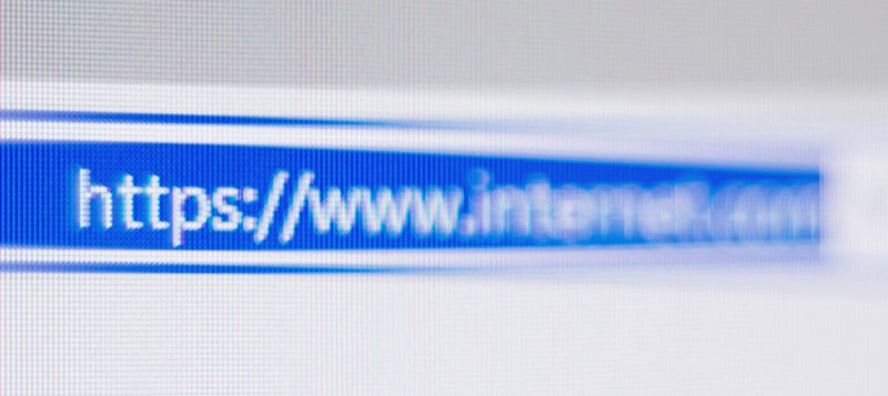 Blurred out URL